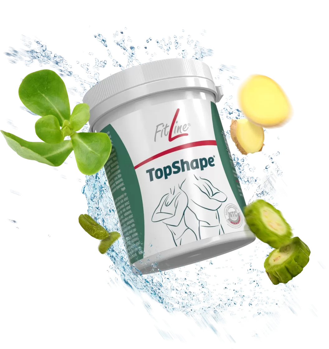 TopShape_splash_png.webp
